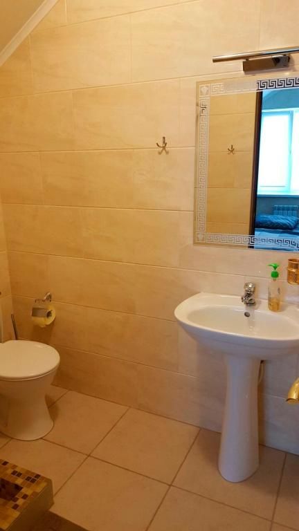 Апартаменты Starosvetskiy Pan Миргород-56